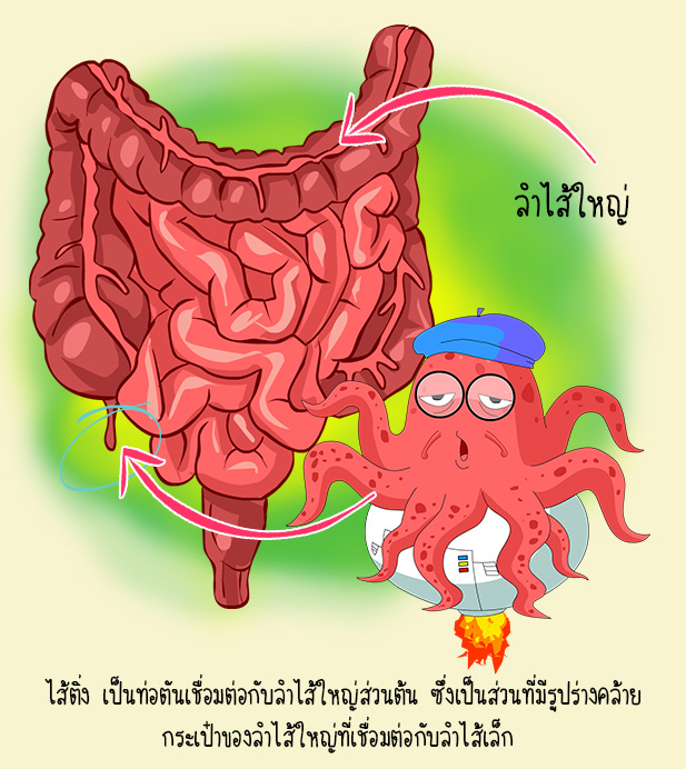 กระเพาะอาหาร การ์ตูน